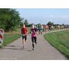 049--Dieter-Meinecke-Lauf 2015.jpg